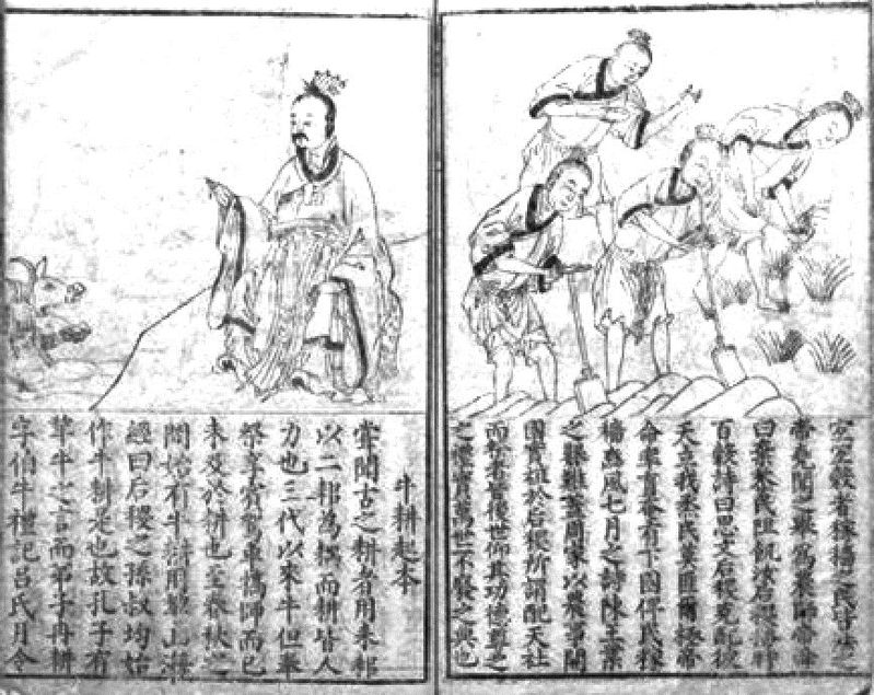 成果 论文 | 技能与德行: 社会生活中性别角色的图像隐喻