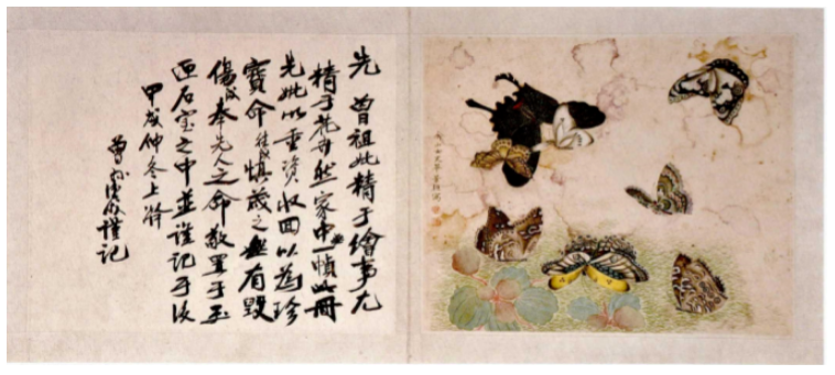 姜丽静∣荒芜中的别样开拓：孔氏家族女性教育生活史的探究路径及其意义【第六届论坛演讲摘要选登】