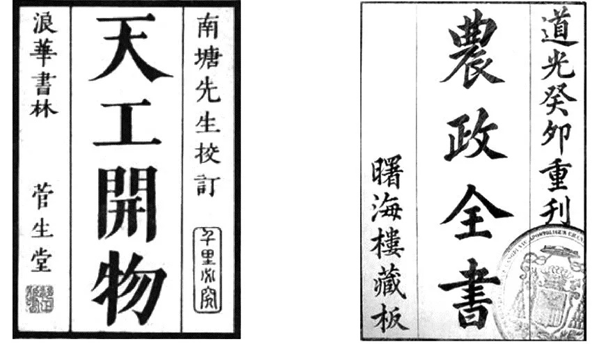 成果 论文 | 技能与德行: 社会生活中性别角色的图像隐喻